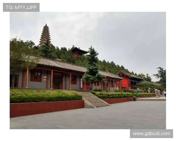 全球足球明星刺青全景解析及其背后故事详解 全球足球明星刺青全景解析及其背后故事详解