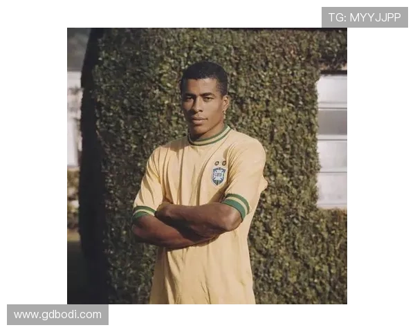 足球明星的别称揭秘你知道他们都被称为什么吗