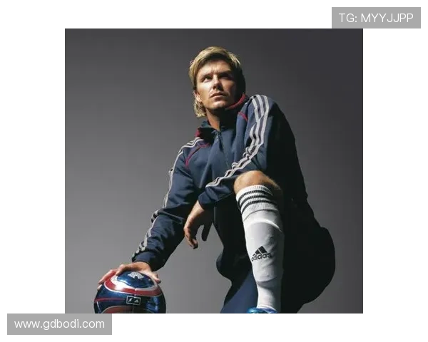 国内足球明星贴画排行榜揭晓谁将成为球迷心中的最佳偶像